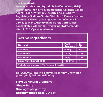 Lion’s Mane Gummies By Pure Croft  – With Vitamin B6 | 1000mg Equivalent Per Gummy| Vegan | 60 Gummies